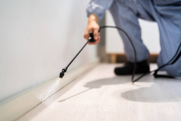 Licensed Ant Control service in Madison County County, IA - Nex Pest Control
